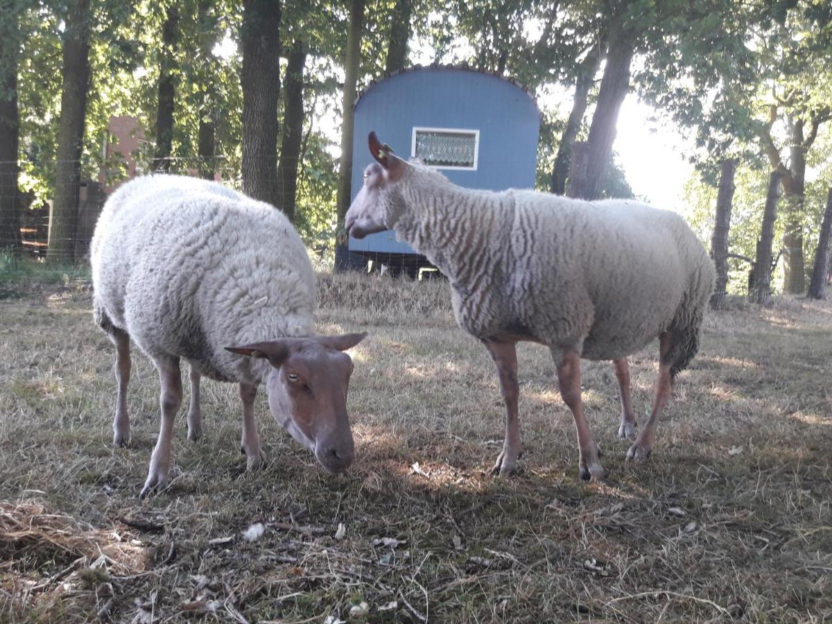 Ferienwohnung 1 Bauernhof Von Eden Surwold Esterno foto